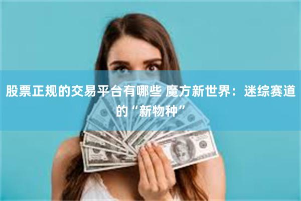 股票正规的交易平台有哪些 魔方新世界：迷综赛道的“新物种”