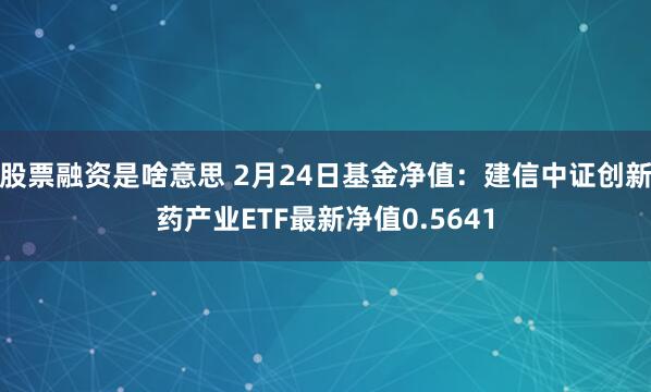 股票融资是啥意思 2月24日基金净值：建信中证创新药产业ETF最新净值0.5641