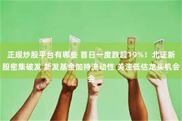 正规炒股平台有哪些 首日一度跌超19%！北证新股密集破发 新发基金加持流动性 关注低估龙头机会